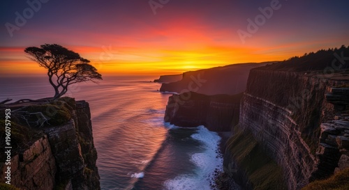 Lone Tree on Dramatic Ocean Cliff at Vibrant Sunset