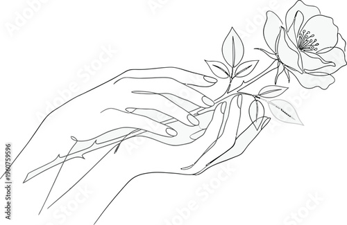 Continuous Line Art Floral