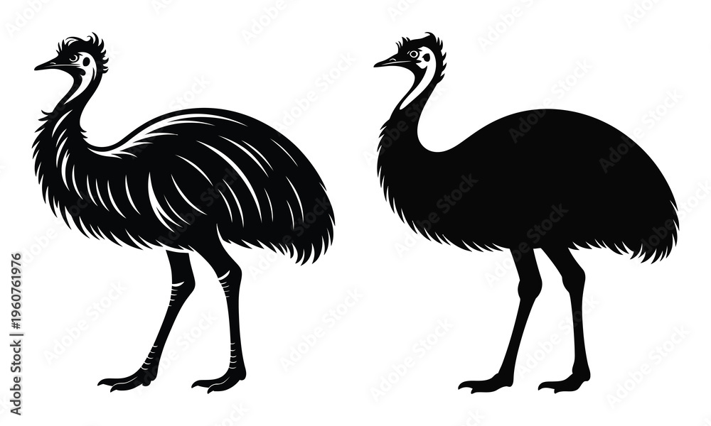 Fototapeta premium emu vector illustration