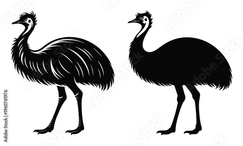 emu vector illustration