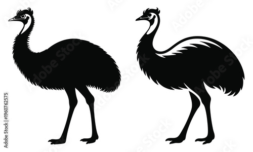 emu