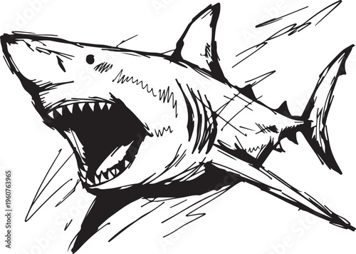 Bold illustration of a great white shark, jaws agape, revealing razor-sharp teeth. Dynamic lines convey the fierce predatory energy of this apex predator