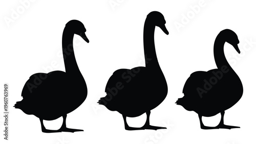 Three swans depicted in black silhouette gracefully curving their necks