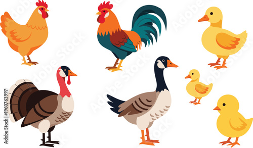 Farm Birds Vector Set Featuring Chicken Rooster Duck Goose Turkey and Ducklings Flat Cartoon Poultry Collection Illustration for Agriculture and Rural Design