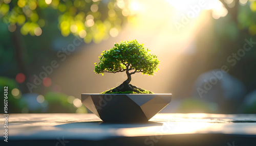 Bonsai tree in a modern pot on wood table with soft light and bokeh background