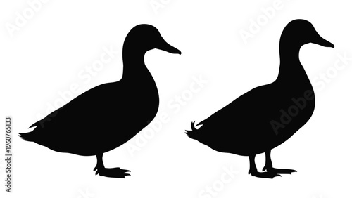 Two black silhouettes of ducks facing right depicted in a simple graphic style