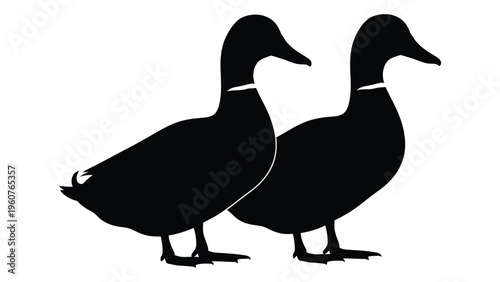 Two ducks are shown in a simple black silhouette facing right
