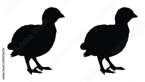 Two black silhouettes of birds possibly quail or similar game fowl facing opposite directions