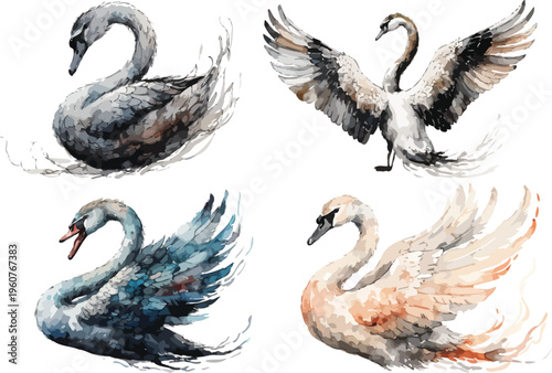 set of Watercolor Swan Clipart, Elegant Bird Illustration, Isolated on White