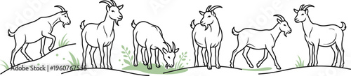 Panoramic line art vector illustration of goat characters grazing on a hill in a minimalist outline style for coloring books and logos.