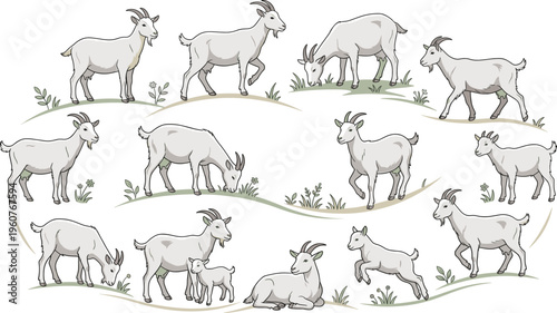 Large set of flat vector goat illustrations including adults and kids grazing, playing, and resting on grassy hills for farm and nature designs.