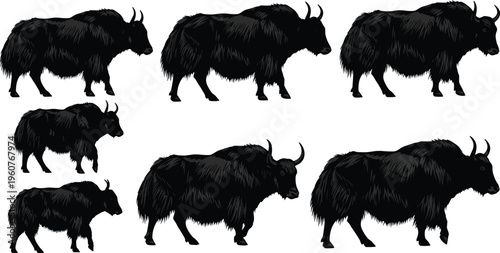 Black yak silhouette collection, high altitude mountain animal vector, tibetan bull group illustration, wild yak set for nature design, isolated.v