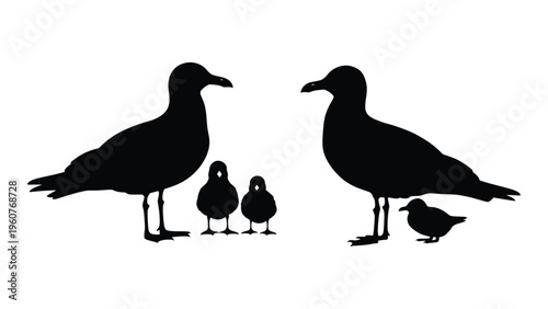 Black silhouettes of seagulls two adults and three chicks facing each other