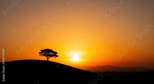 Sunset Silhouetted Solitary Tree on Hill Horizon Landscape