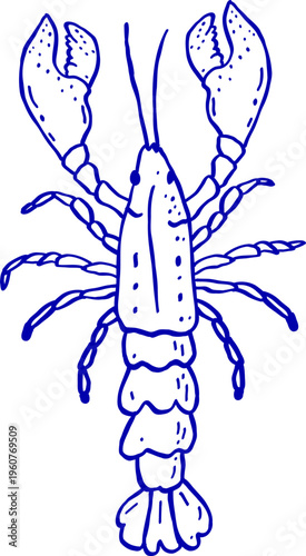 Whimsical Blue Lobster Outline Graphic