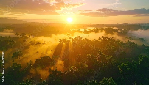A vibrant sunrise casts golden light over a lush, misty tropical forest