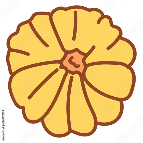 Butternut Squash Pumpkin Vector Illustration Isolated on White Background