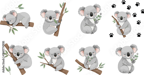 Cute koala characters collection cartoon koalas sitting on tree branches vector illustration set
