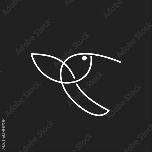 Minimalist Hummingbird Line Art Illustration on Dark Background