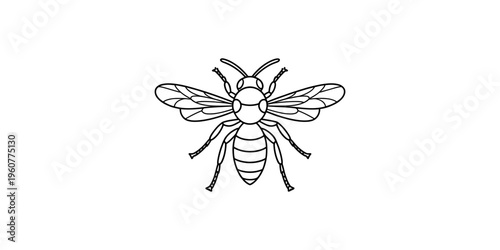 Black and white line art illustration of a honey bee isolated on a white background for coloring