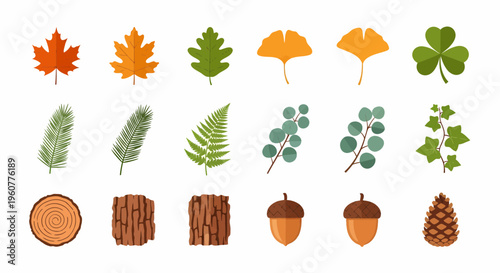 Various types of leaves and wood.