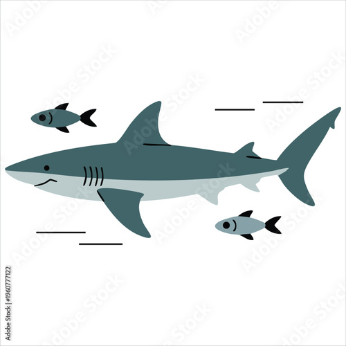 Fierce Shark with Wide Open Mouth Hunting in the Deep Blue Sea isolated vector illustration on white background