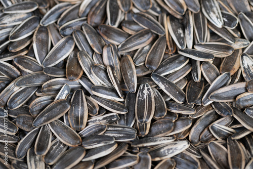 Crunchy salted seeds boost daily energy. Nutritious sunflower seed snacks invigorate your busy day. Salty sunflower seed bites offer natural energy boost and satisfying crunch