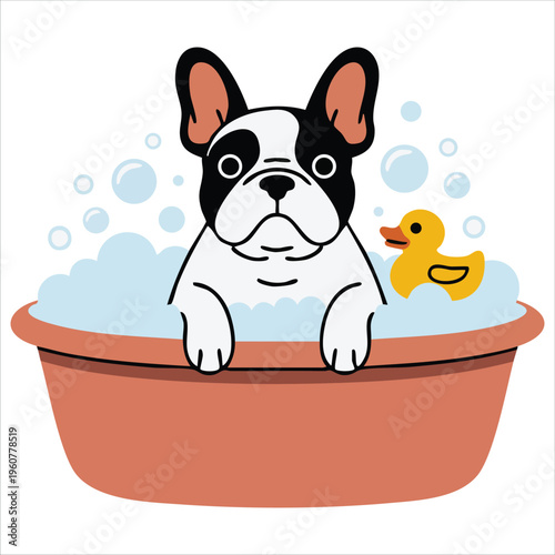 Cute French Bulldog with Bubbles and Rubber Duck in Flat Vector Pet Grooming Style