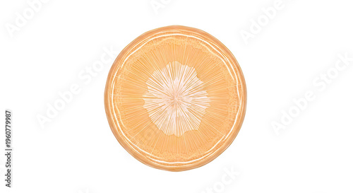Close-up of a Carrot Slice