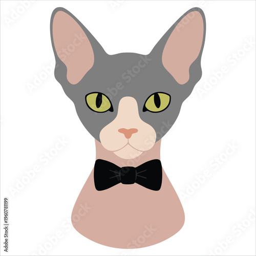 Brown Sphynx Cat Wearing Bow Tie Isolated on White Hipster Style Pet Portrait