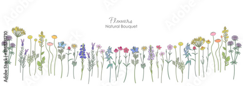 いろいろな草花のナチュラルなイラスト