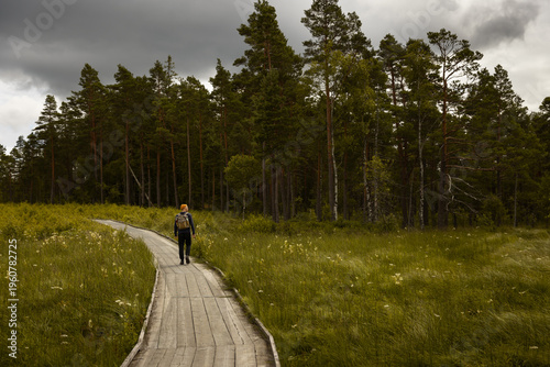 Billede på lærred A lone hiker with a backpack walks along a winding wooden boardwalk through a lush green meadow toward a dense pine forest under a dramatic cloudy sky