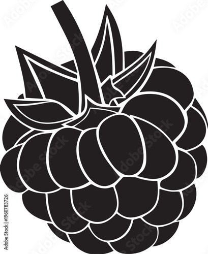 Raspberry fruit silhouette with leaves showing organic berry texture for healthy lifestyle and summer nutrition