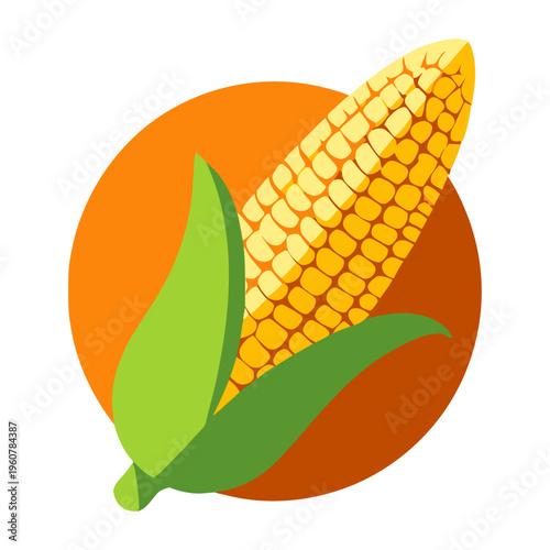 Vibrant vector of a single ear of corn with green leaves on an orange background
