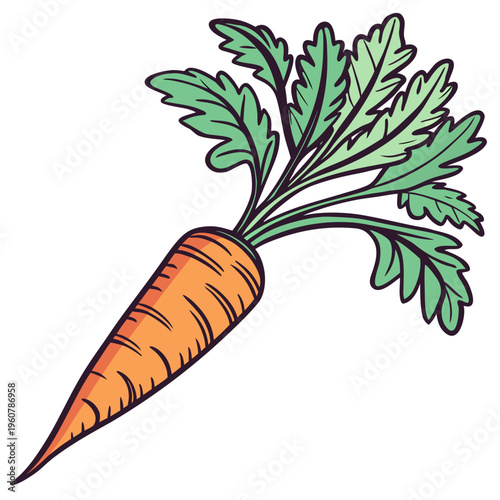 A vibrant, saturated orange root contrasted with muted, olive-green leafy greens.