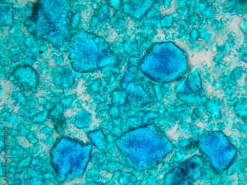 Εκτύπωση καμβά High resolution micrograph of verdigris pigment with broad turquoise crystalline