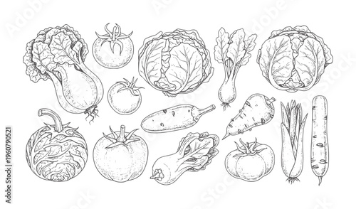 Hand drawn of various fresh vegetables arranged in a pattern food healthy organic
