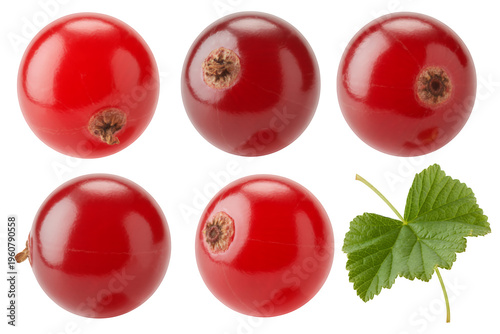 Red currants and green leaf isolated on a transparent background