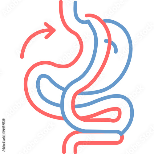 Gastric Bypass Vector Icon