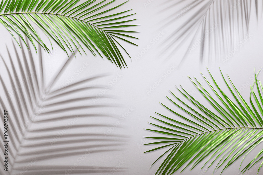 Fototapeta premium Green tropical leaves casting shadow on grey background