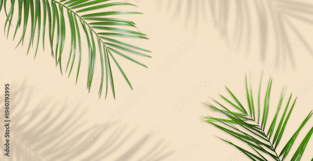 Fototapeta premium Green tropical leaves casting shadow on beige background. Banner design