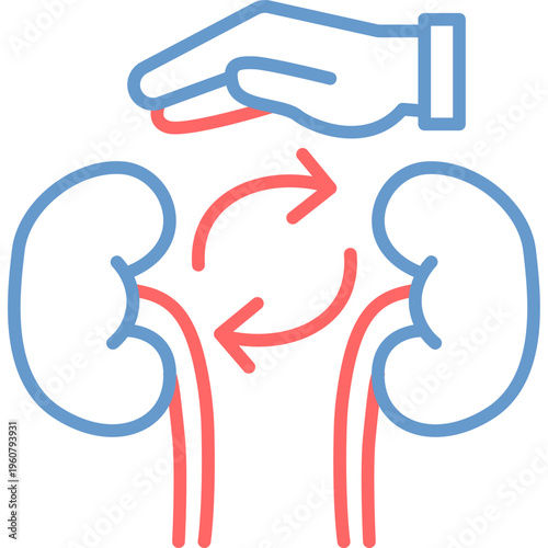 Kidney Transplant Vector Icon