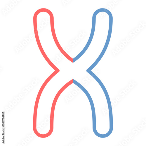 Chromosome Vector Icon