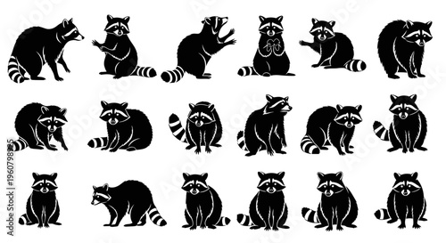 Cute Raccoon Silhouettes Set - Various Poses and Actions