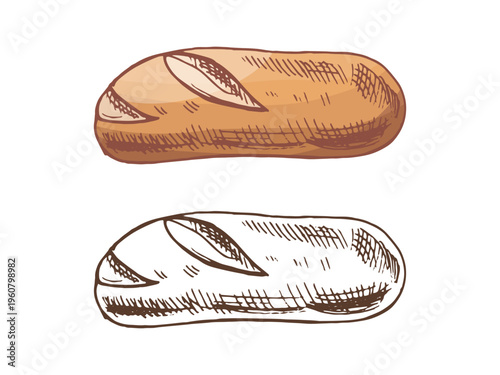 Hand drawn vintage sketch of baguette bread loaf in color and monochrome bakery illustration isolated