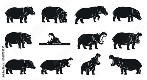 Hippopotamus Silhouette Set: Diverse Poses and Actions