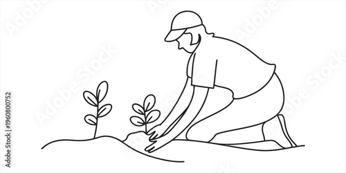 person planting a small tree in the ground