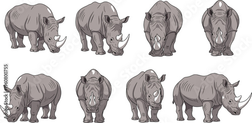 Collection of rhinoceros character illustrations in various poses and angles, detailed gray wild animals in a hand-drawn comic style for safari designs.