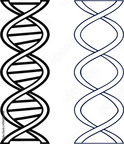D n a double helix structures in black and blue