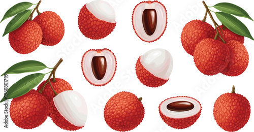 Fresh lychee fruit collection, set of tropical berries with leaves, whole fruits, peeled segments, and cross-sections with pits in a realistic digital illustration style.